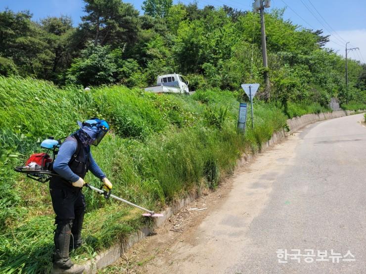 기사 사진