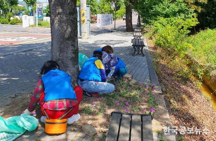 기사 사진
