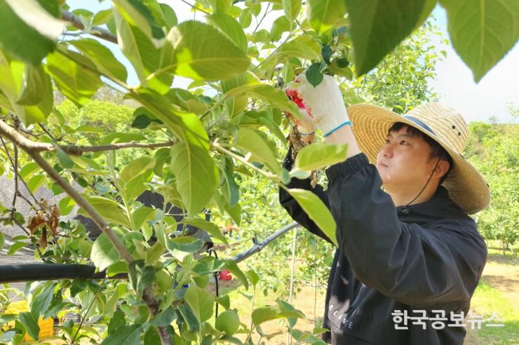 기사 사진