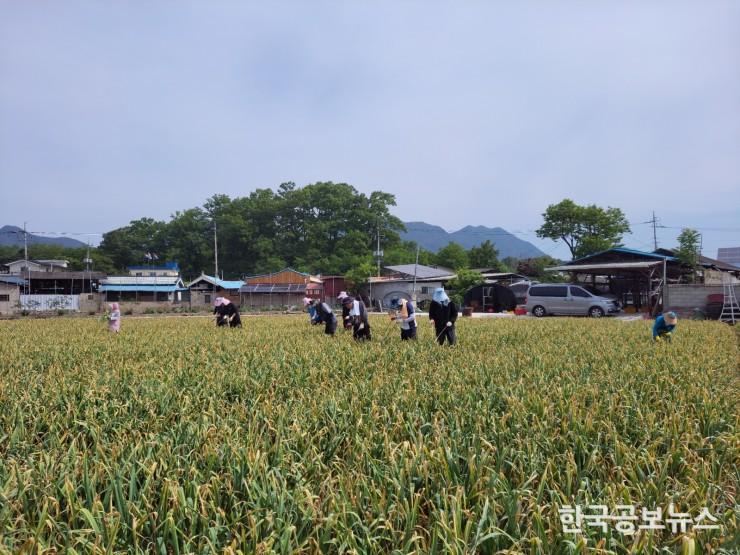 기사 사진