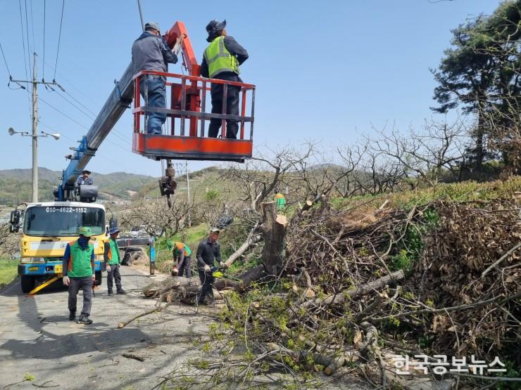 기사 사진