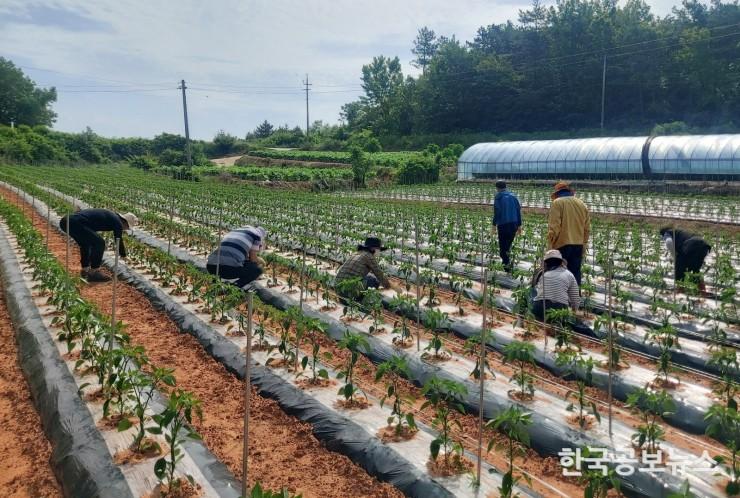 기사 사진