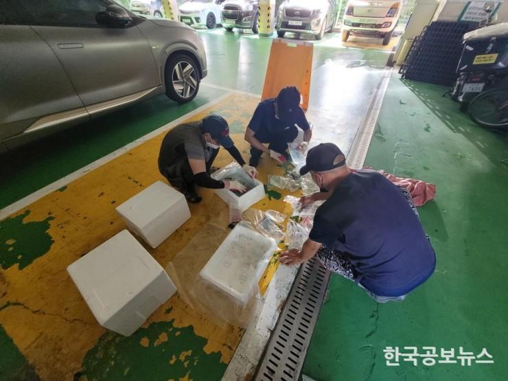 기사 사진