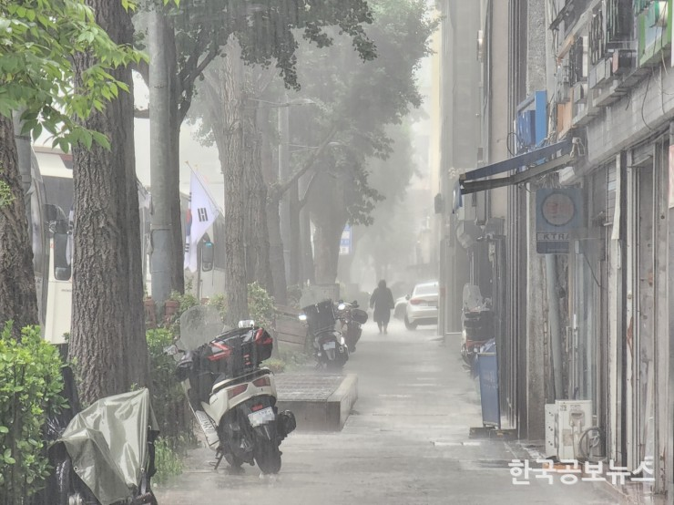 기사이미지 https://kpnnews.cdn.ntruss.com/202406220215361718990136696