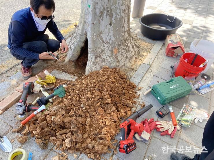 기사 사진