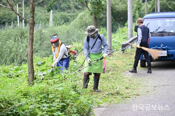 기사 사진
