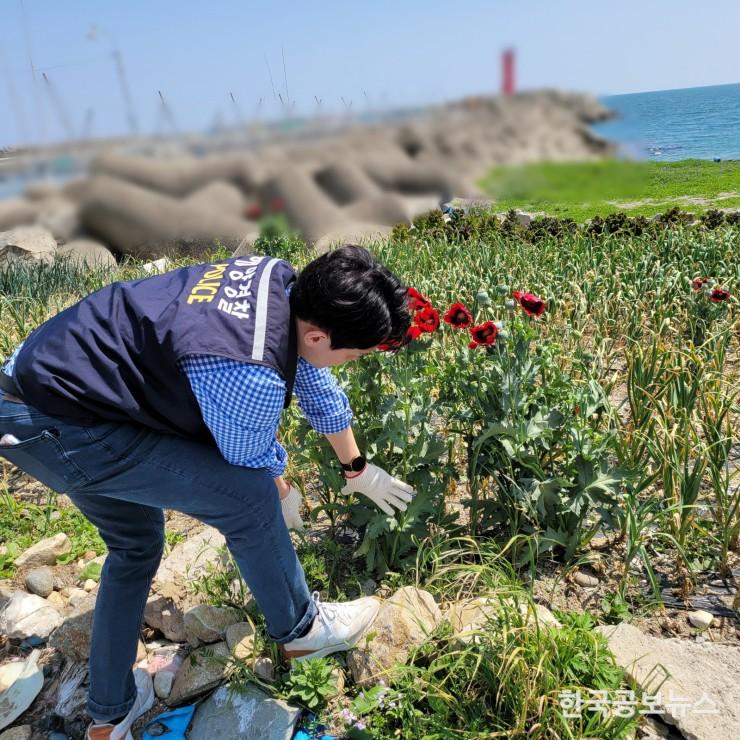 기사 사진
