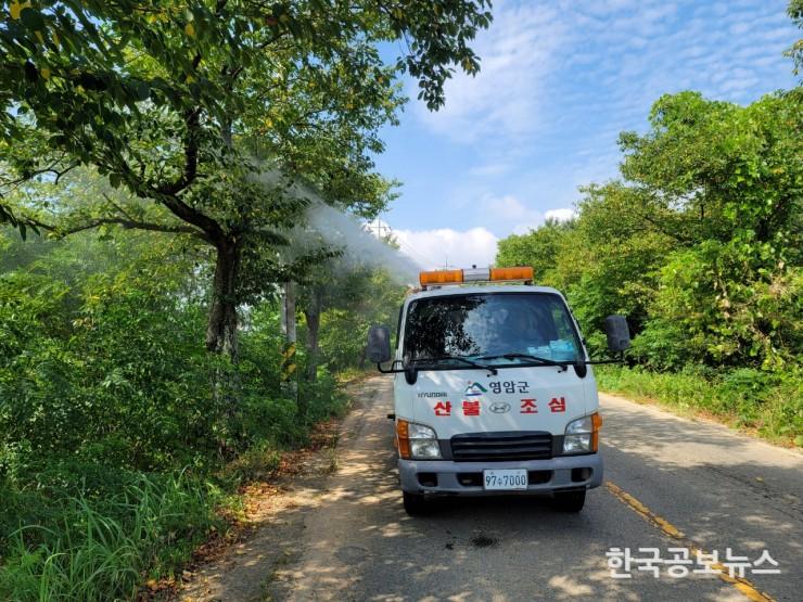 기사 사진