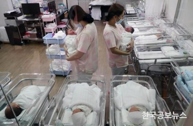 기사이미지 https://kpnnews.cdn.ntruss.com/202406221118121719022692666