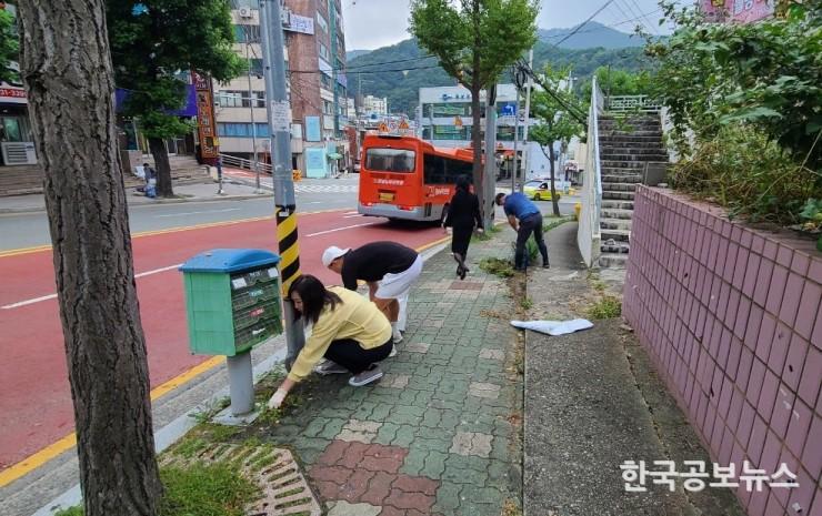 기사 사진