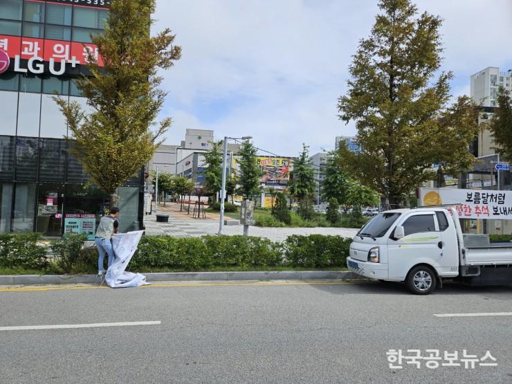 기사 사진
