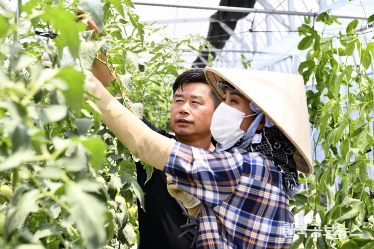 기사 사진