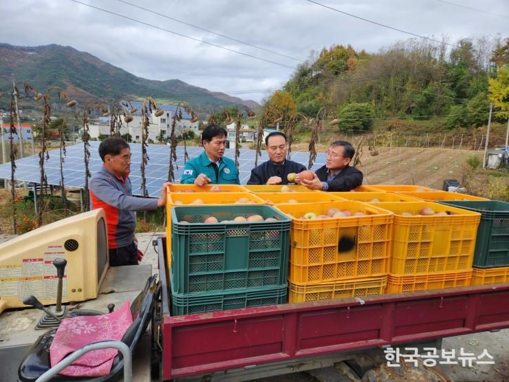 기사 사진