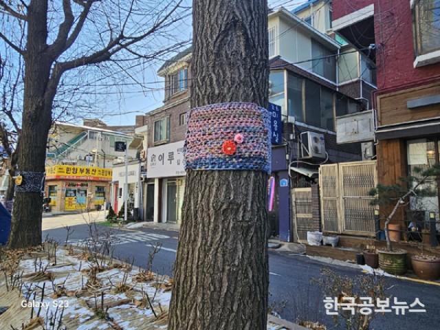 기사이미지 https://kpnnews.cdn.ntruss.com/202406240423361719170616542