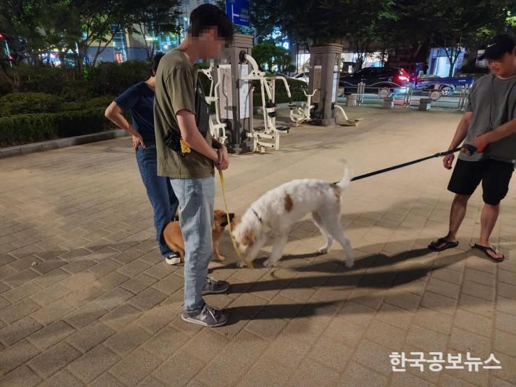 기사 사진
