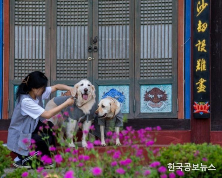 기사 사진