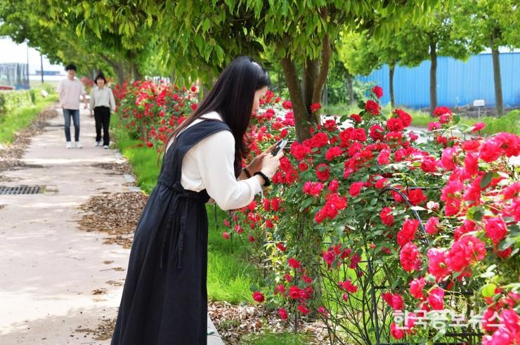 기사 사진
