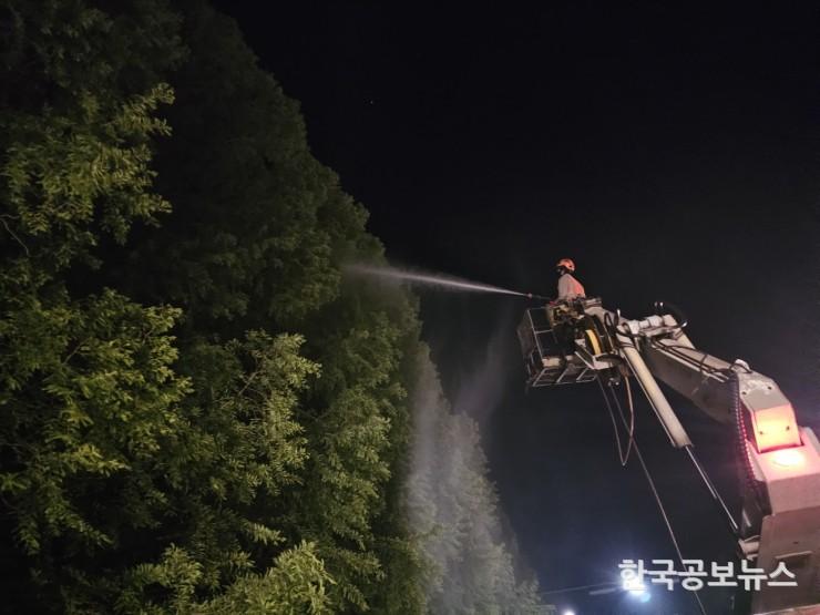 기사 사진