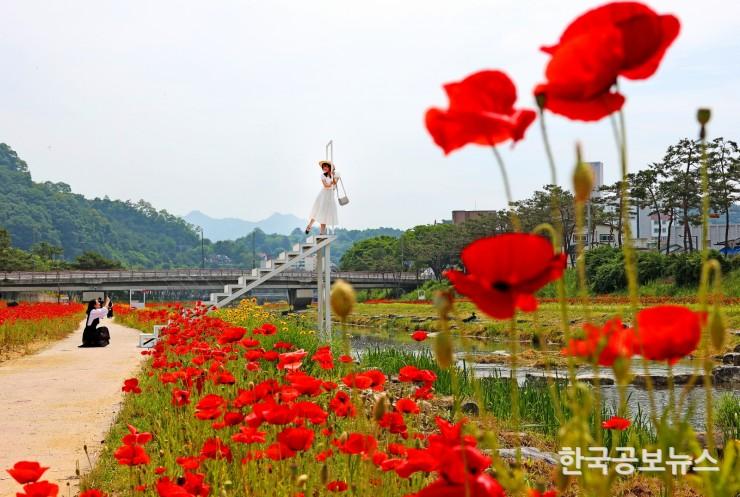 기사 사진