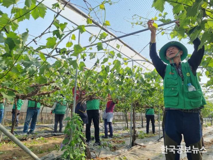 기사 사진