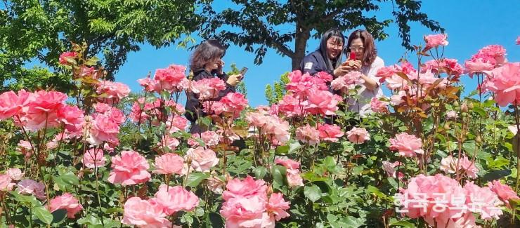 기사 사진