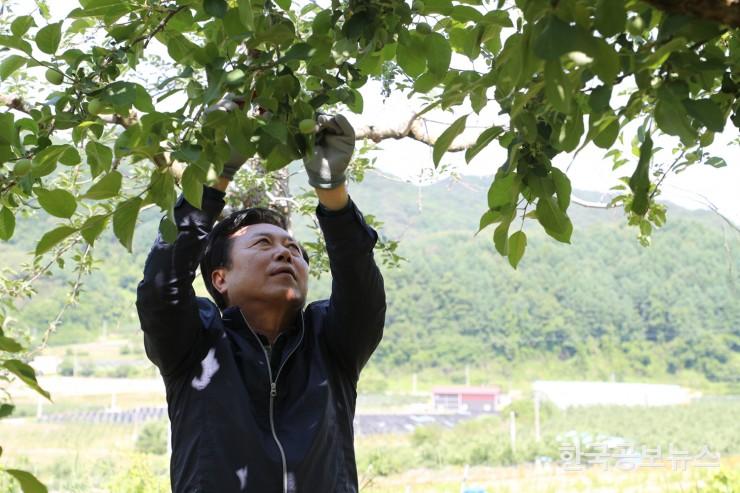 기사 사진