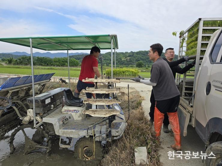 기사 사진