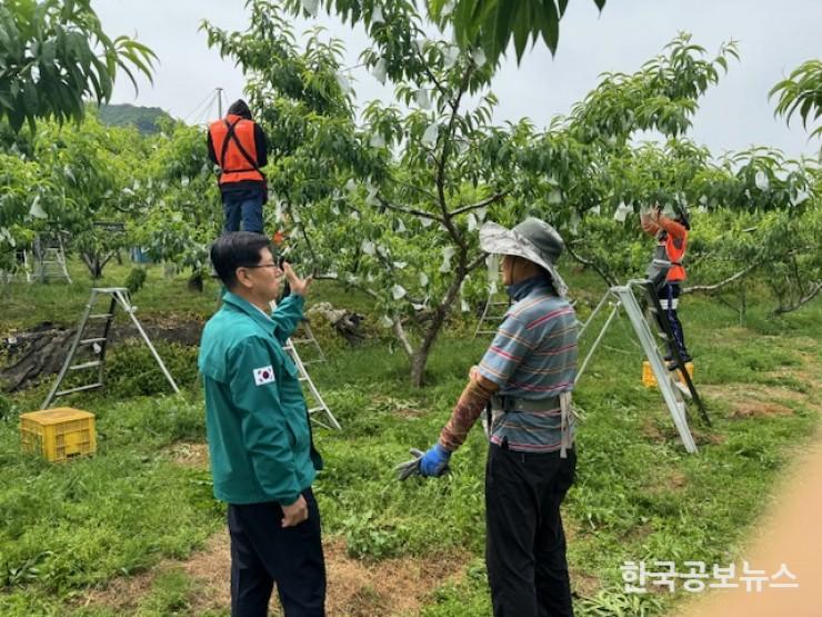 기사 사진