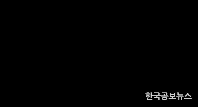 기사이미지 https://kpnnews.cdn.ntruss.com/202406250641331719308493518