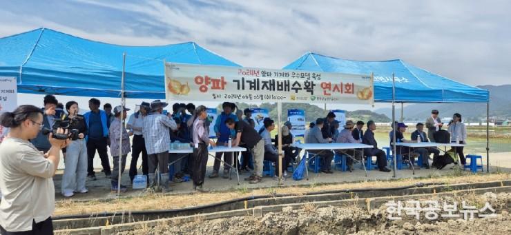 기사 사진