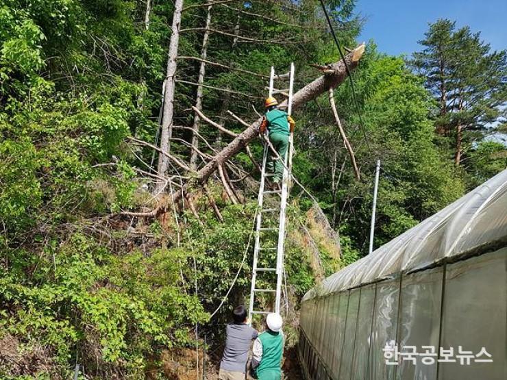 기사 사진