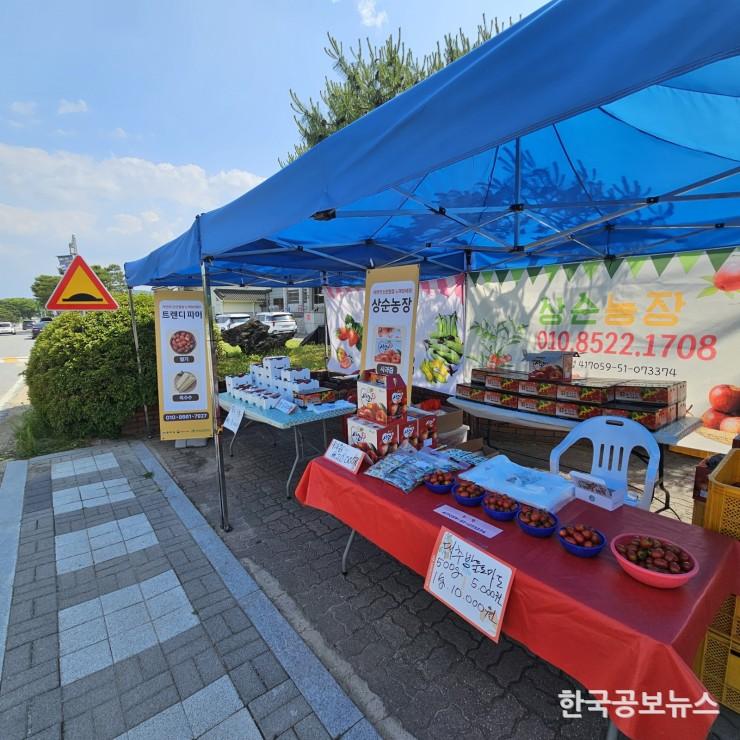 기사 사진