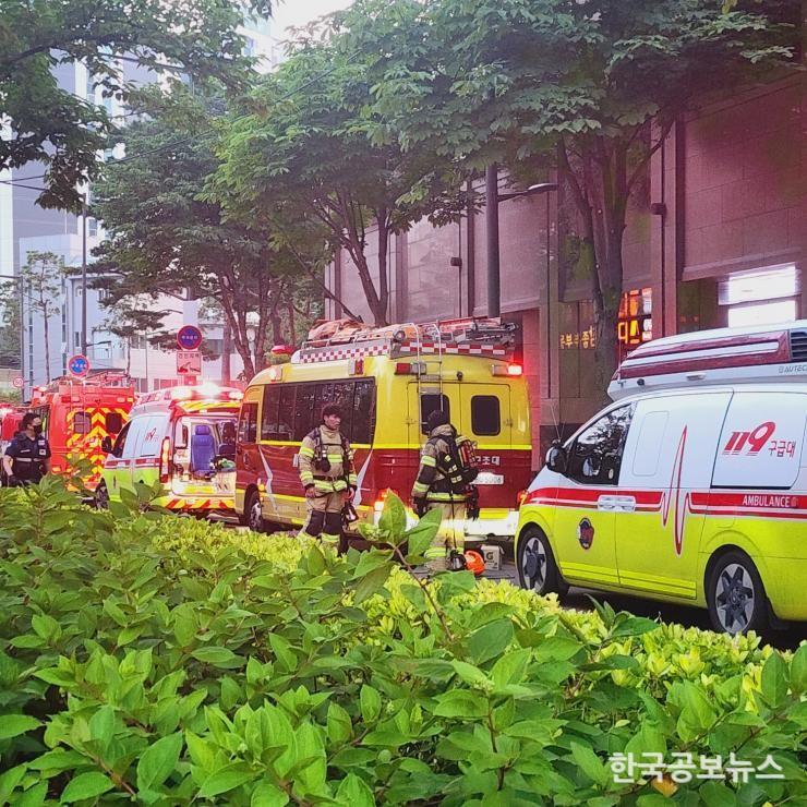기사이미지 https://kpnnews.cdn.ntruss.com/202406250744421719312282649