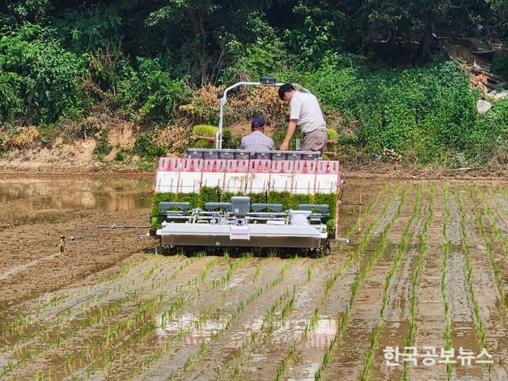 기사 사진