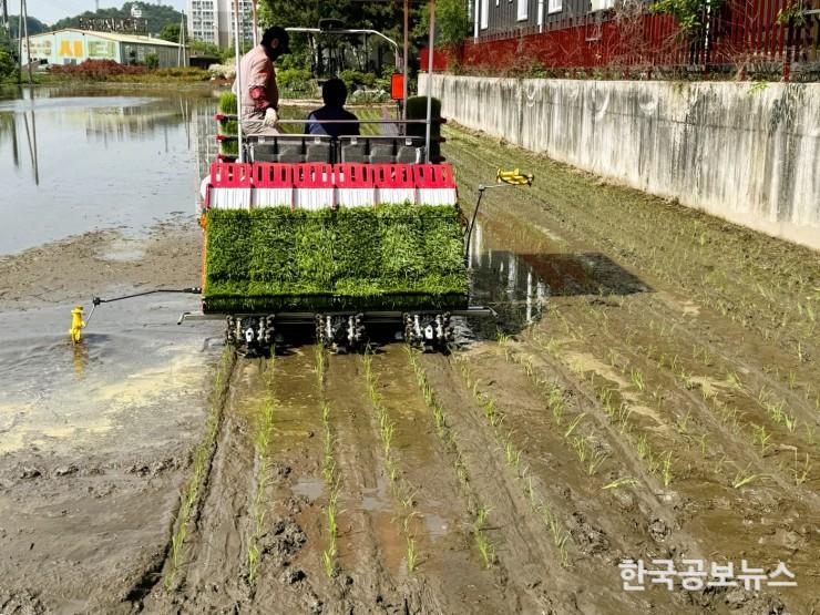 기사 사진