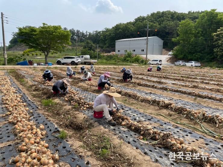 기사 사진