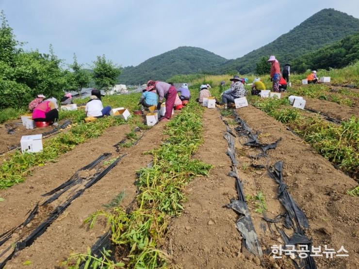 기사 사진
