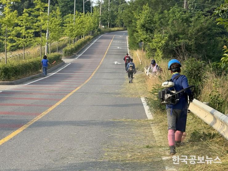 기사 사진