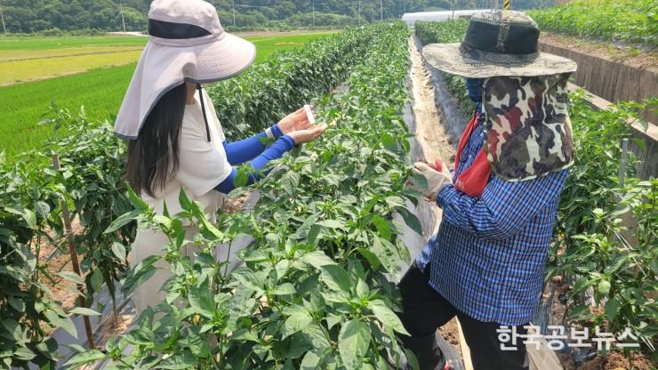 기사 사진