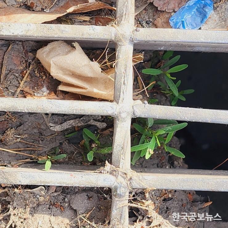 기사이미지 https://kpnnews.cdn.ntruss.com/202406251148131719283693531