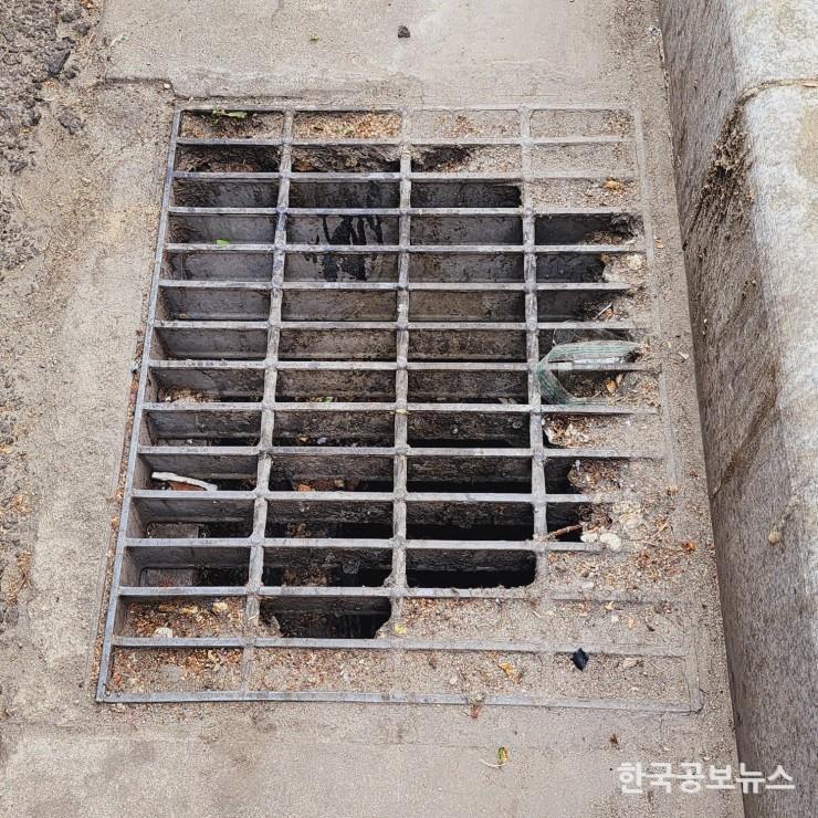 기사이미지 https://kpnnews.cdn.ntruss.com/202406251148141719283694180