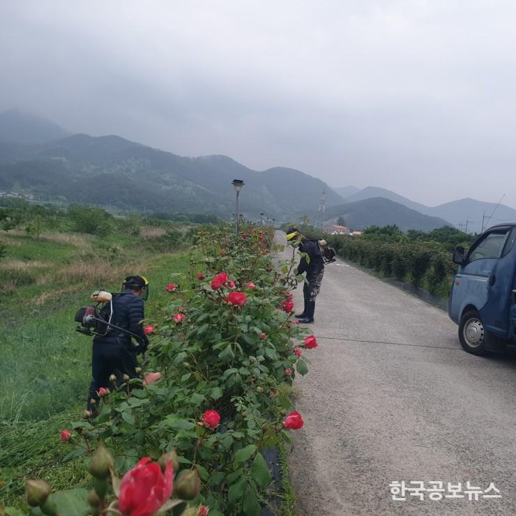 기사 사진