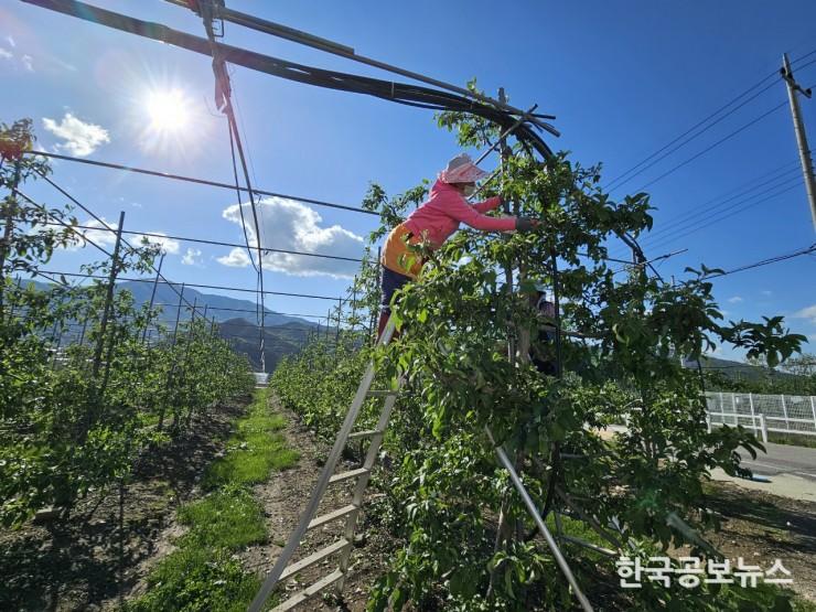 기사 사진