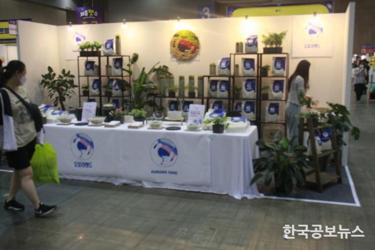 기사이미지 https://kpnnews.cdn.ntruss.com/202406260351201719341480666