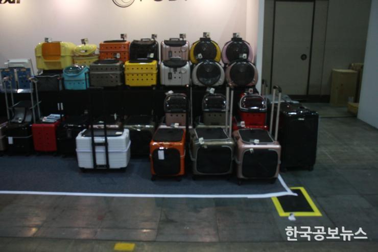 기사이미지 https://kpnnews.cdn.ntruss.com/202406260351211719341481254