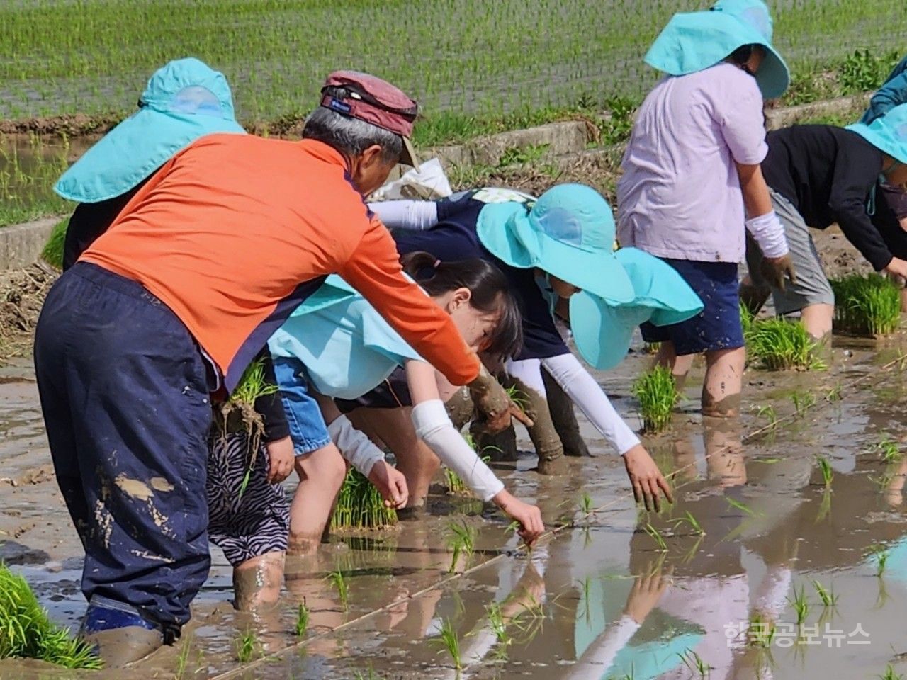 기사 사진
