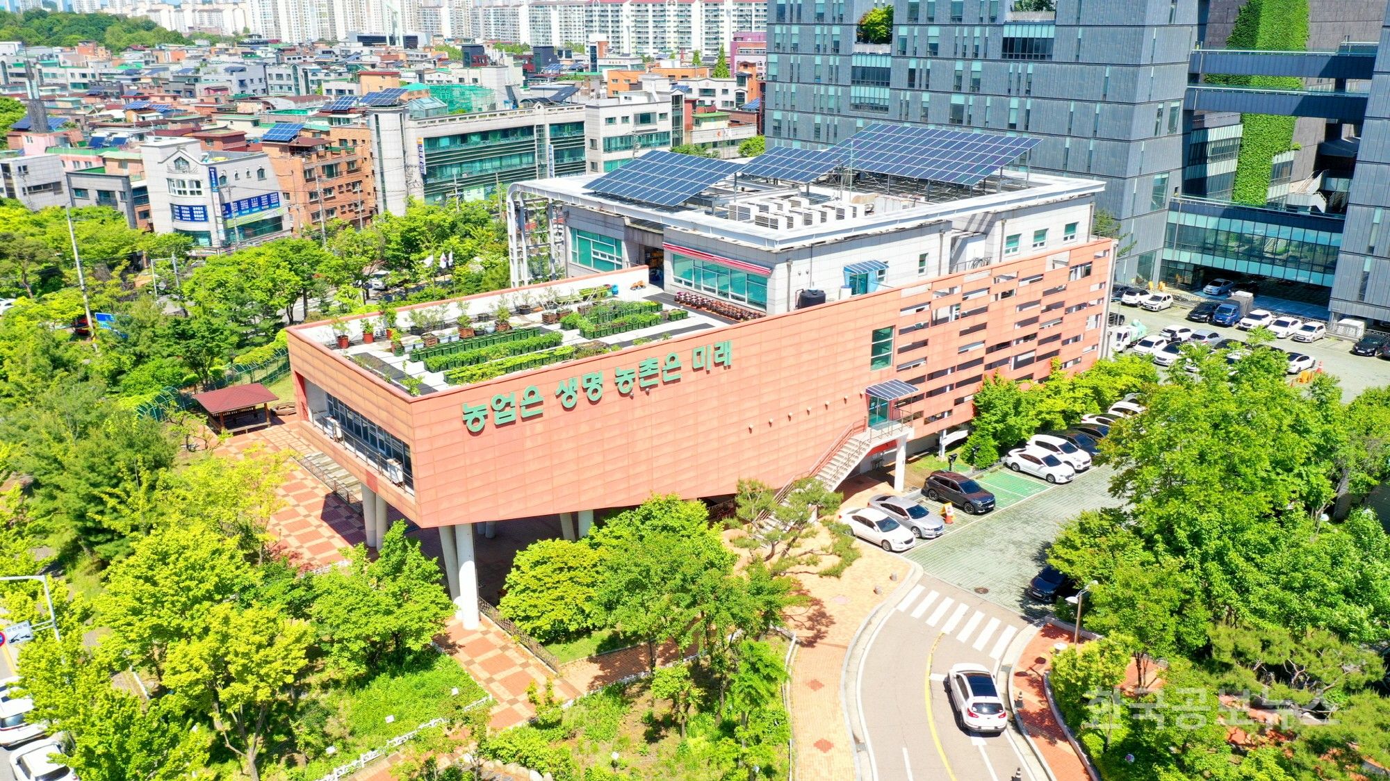 기사 사진