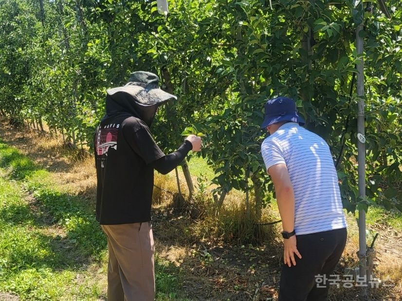 기사 사진