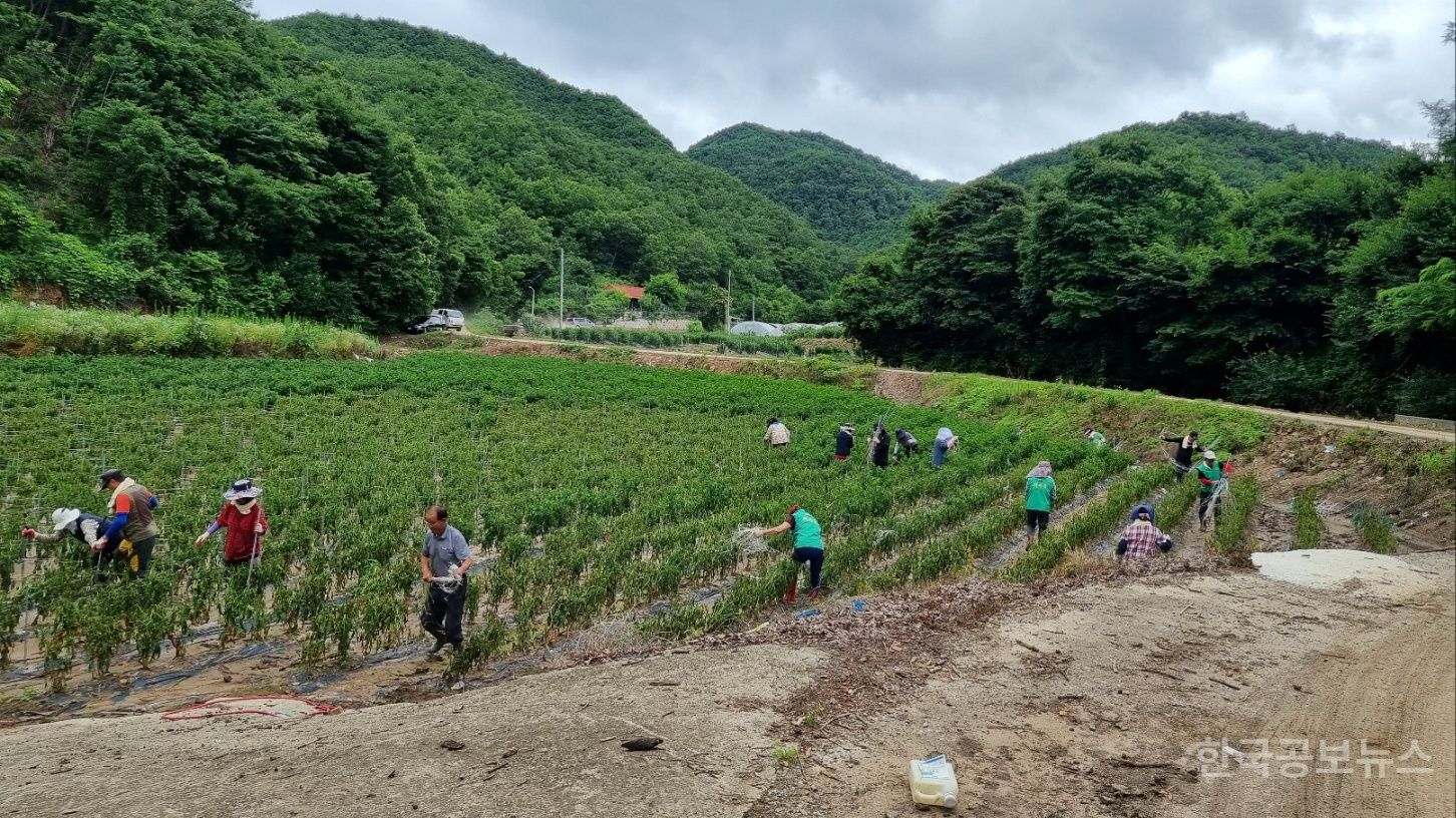 기사 사진