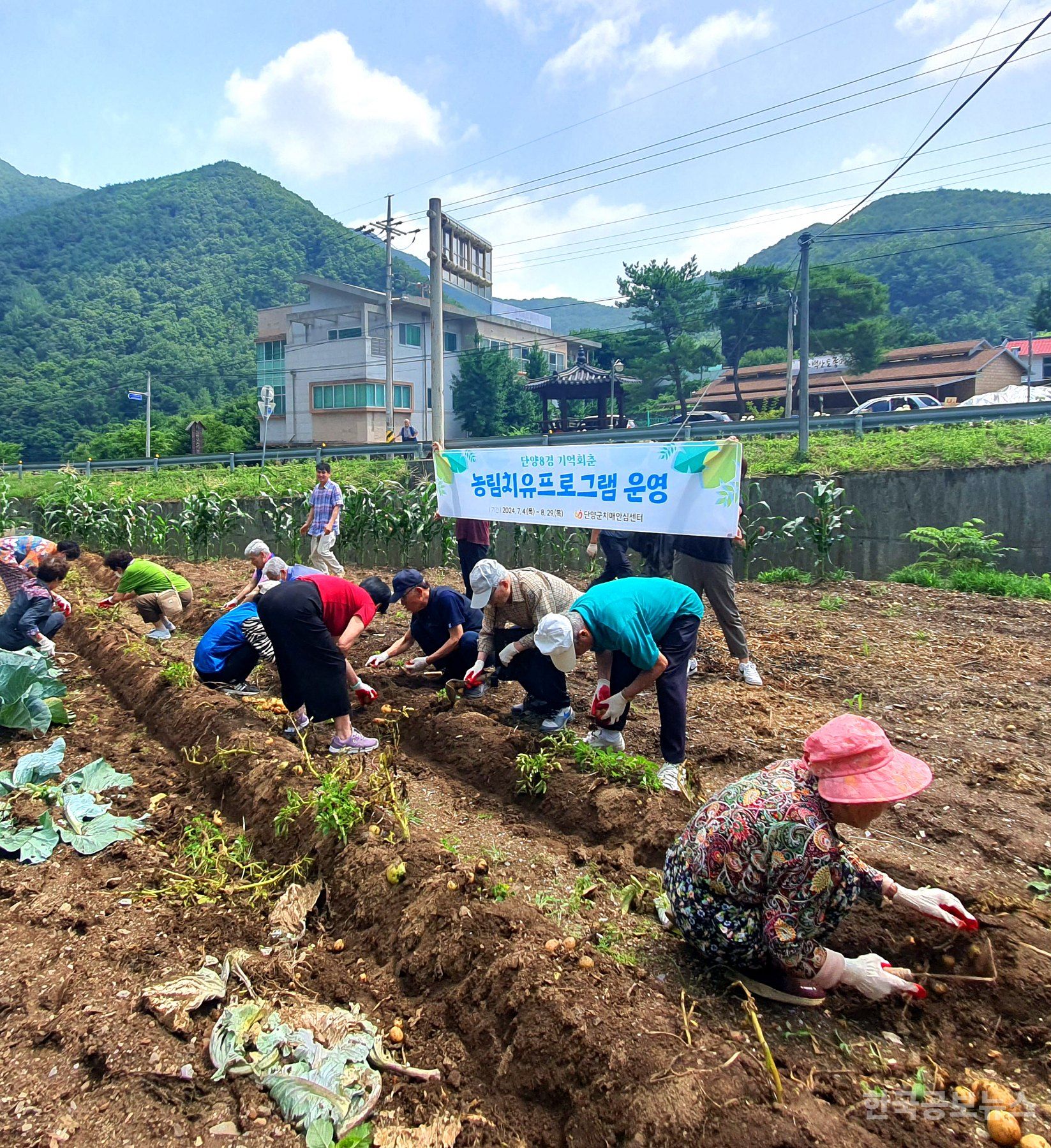 기사 사진